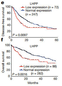 AG亚娱集团官方