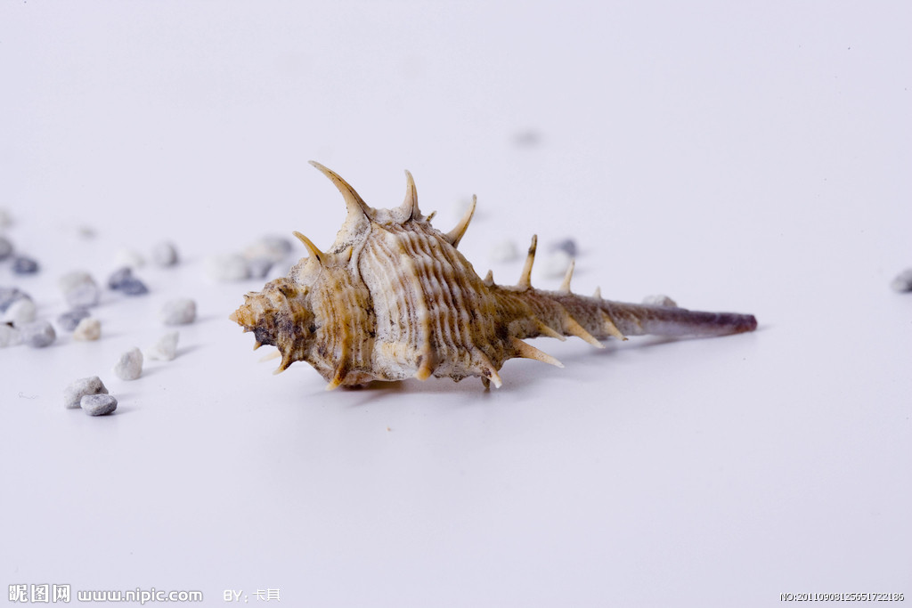 AG亚娱集团:第141章 风无尘暴怒(图1) AG亚娱集团官方