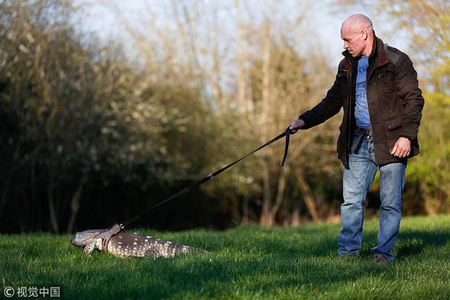 ag亚娱官网|第二百九十六章 出手(为仙言沐道友加更)(图2) AG亚娱集团