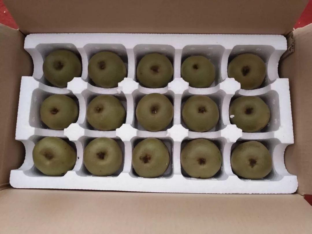 ag亚娱官网|第二百九十六章 出手(为仙言沐道友加更)(图1) AG亚娱集团官方