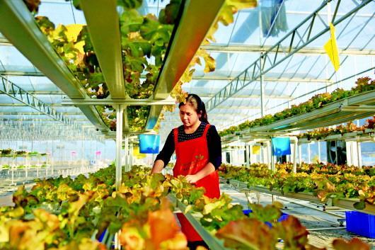 打破城乡限制制度更公平 我国将建立统一城乡居民医保制度|AG亚娱集团(图1) AG亚娱集团官方