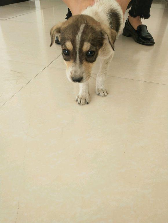 2020年阜阳失业保险金最新标准:领取条件、流程、多少钱_AG亚娱集团官方(图2) AG亚娱集团官方