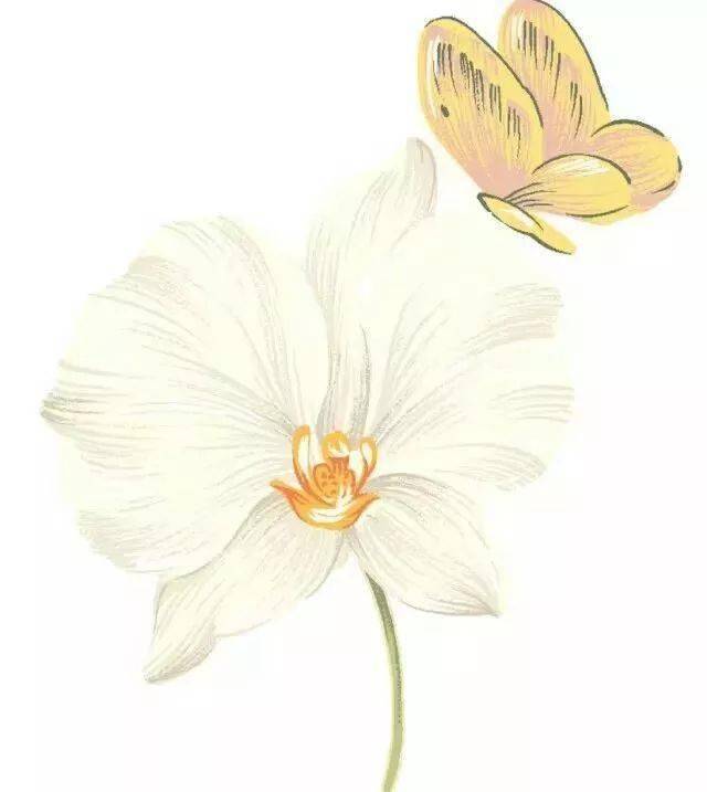 
以案说险丨消费者“如实见告”有多重要？‘AG亚娱集团’(图13)