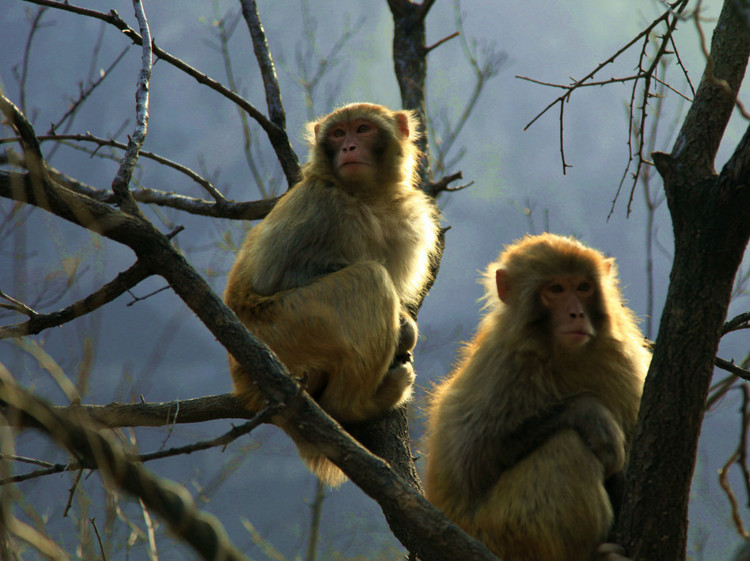 AG亚娱集团官方