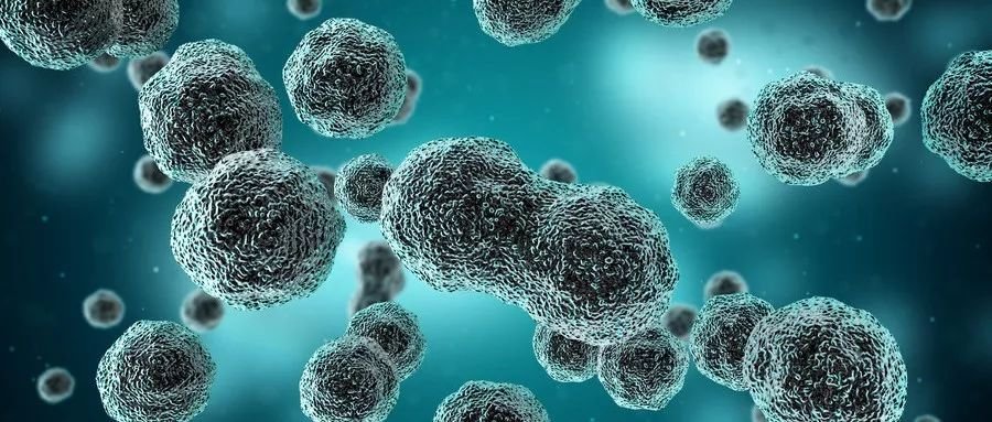 AG亚娱集团官方