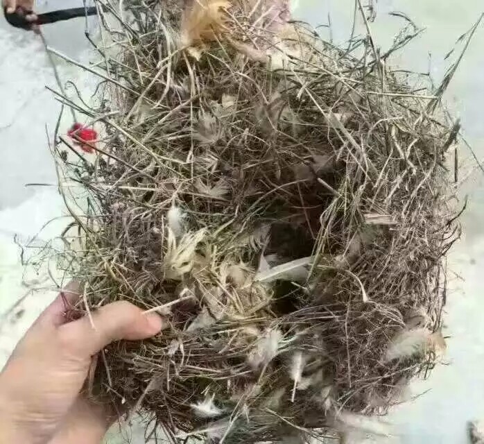 AG亚娱集团官方