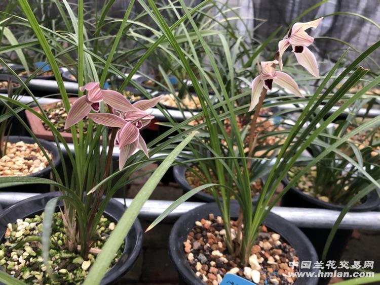 第5788章 我这也是为了你好‘AG亚娱集团’(图1) AG亚娱集团官方