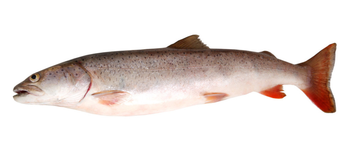 AG亚娱集团官方