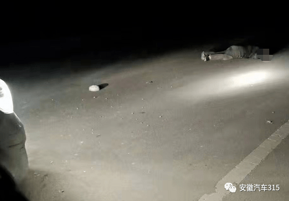 ag亚娱官网_
因逝者没有直接受益人拒绝赔付?建议起诉 车主胜诉后保险公司要继续上诉?(图1) ag亚娱官网_
因逝者没有直接受益人拒绝赔付?建议起诉 车主胜诉后保险公司要继续上诉?(图1)