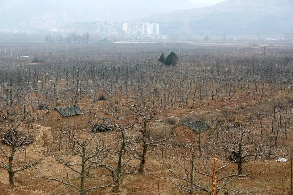 ag亚娱官网_
因逝者没有直接受益人拒绝赔付?建议起诉 车主胜诉后保险公司要继续上诉?(图7) ag亚娱官网