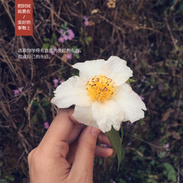 前7月云南保费收入335.3亿元 同比增长21.91%‘AG亚娱集团官方’(图3) AG亚娱集团