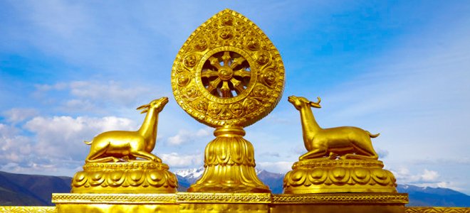 第159章 难道是结石?“ag亚娱官网”(图2) AG亚娱集团