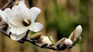 “AG亚娱集团”花呗数据正逐步接入央行征信 未来将覆盖全部用户(图3) AG亚娱集团