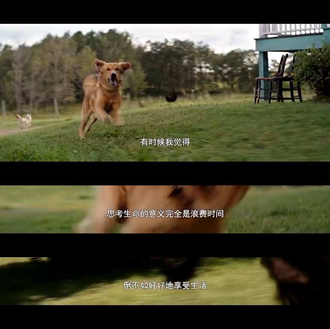 AG亚娱集团官方-重庆五家保险中介机构退出市场(图1) ag亚娱官网