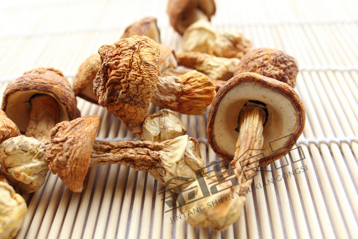 第674章 我不想收你做灵宠|AG亚娱集团官方(图3) AG亚娱集团官方