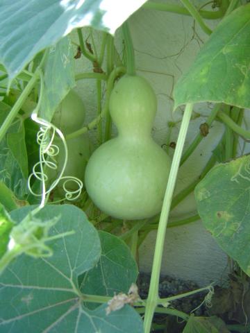 AG亚娱集团官方|第4451章 返回贱域(图4) AG亚娱集团官方