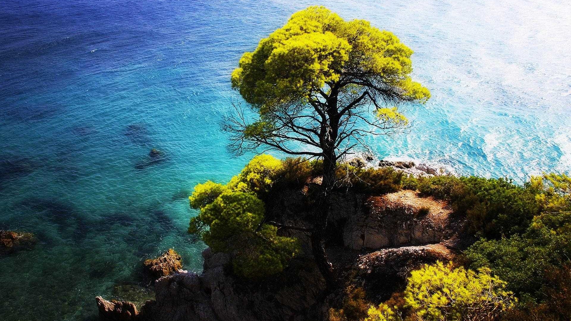 AG亚娱集团官方