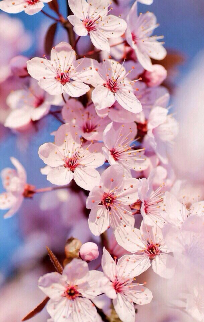 保监会:交强险费率浮动召专家意见征询会_ag亚娱官网(图4) AG亚娱集团官方