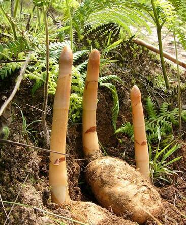 意外险投保中的三个“意外”“AG亚娱集团”(图2) AG亚娱集团官方