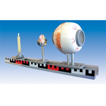 第3521章 想不想报仇【AG亚娱集团】(图1) AG亚娱集团官方