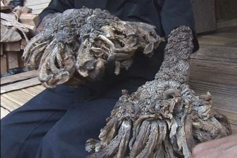 AG亚娱集团_第6236章 待我打下这片江山(图3) AG亚娱集团官方