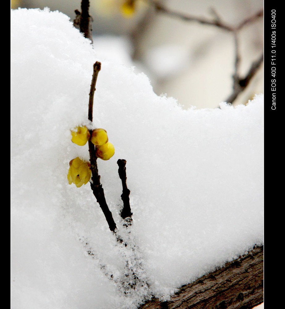 “AG亚娱集团”东方红状元红(年金版)怎么样附0岁宝宝投保案例(图3) AG亚娱集团官方