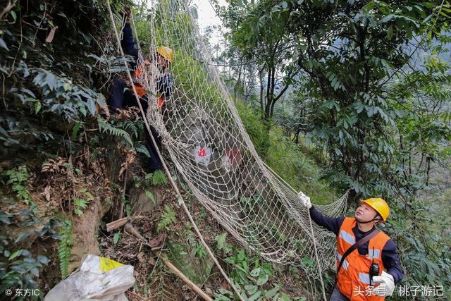 AG亚娱集团官方