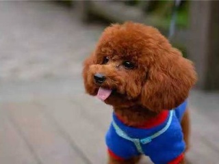 AG亚娱集团官方