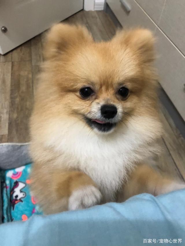 AG亚娱集团官方