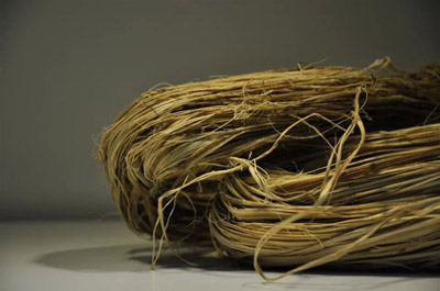 第616章 继发出,道宫变!-AG亚娱集团官方(图2) AG亚娱集团官方